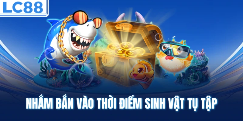 Nhắm bắn vào thời điểm sinh vật tụ tập